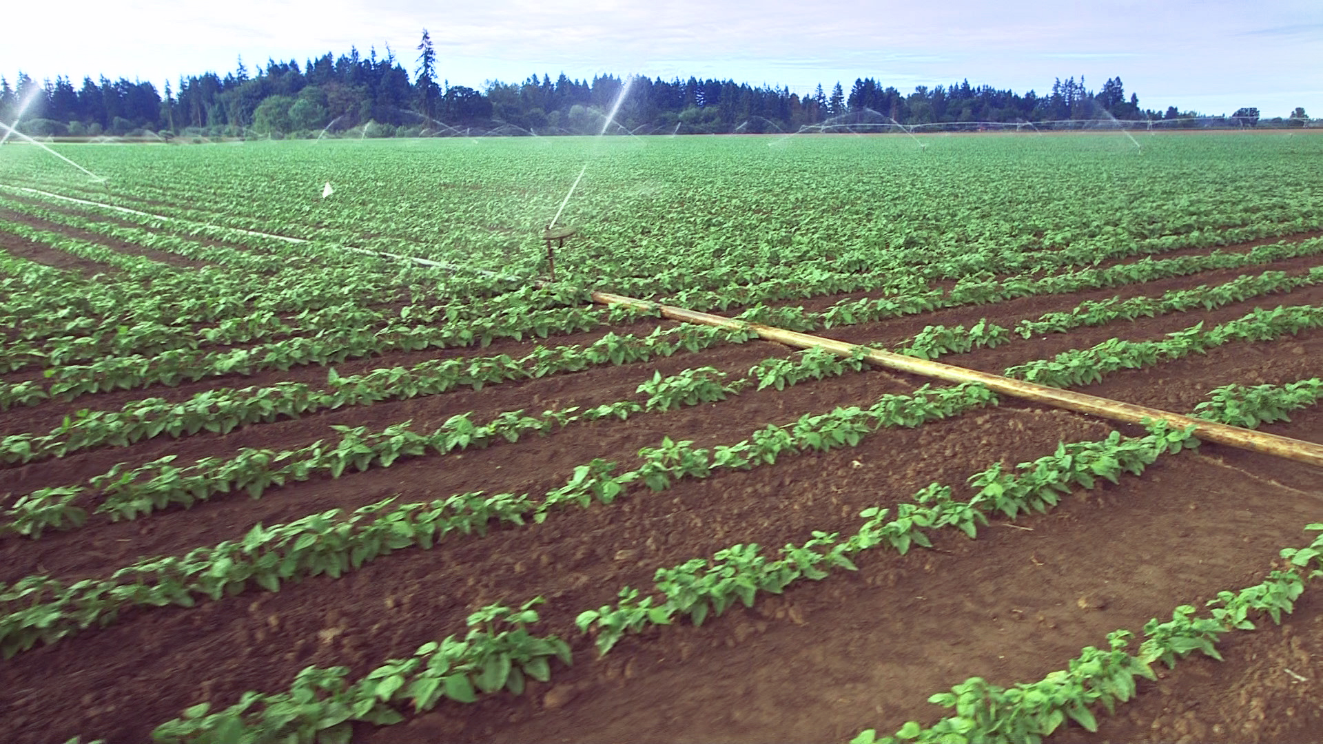 Aluminum pipe going through field