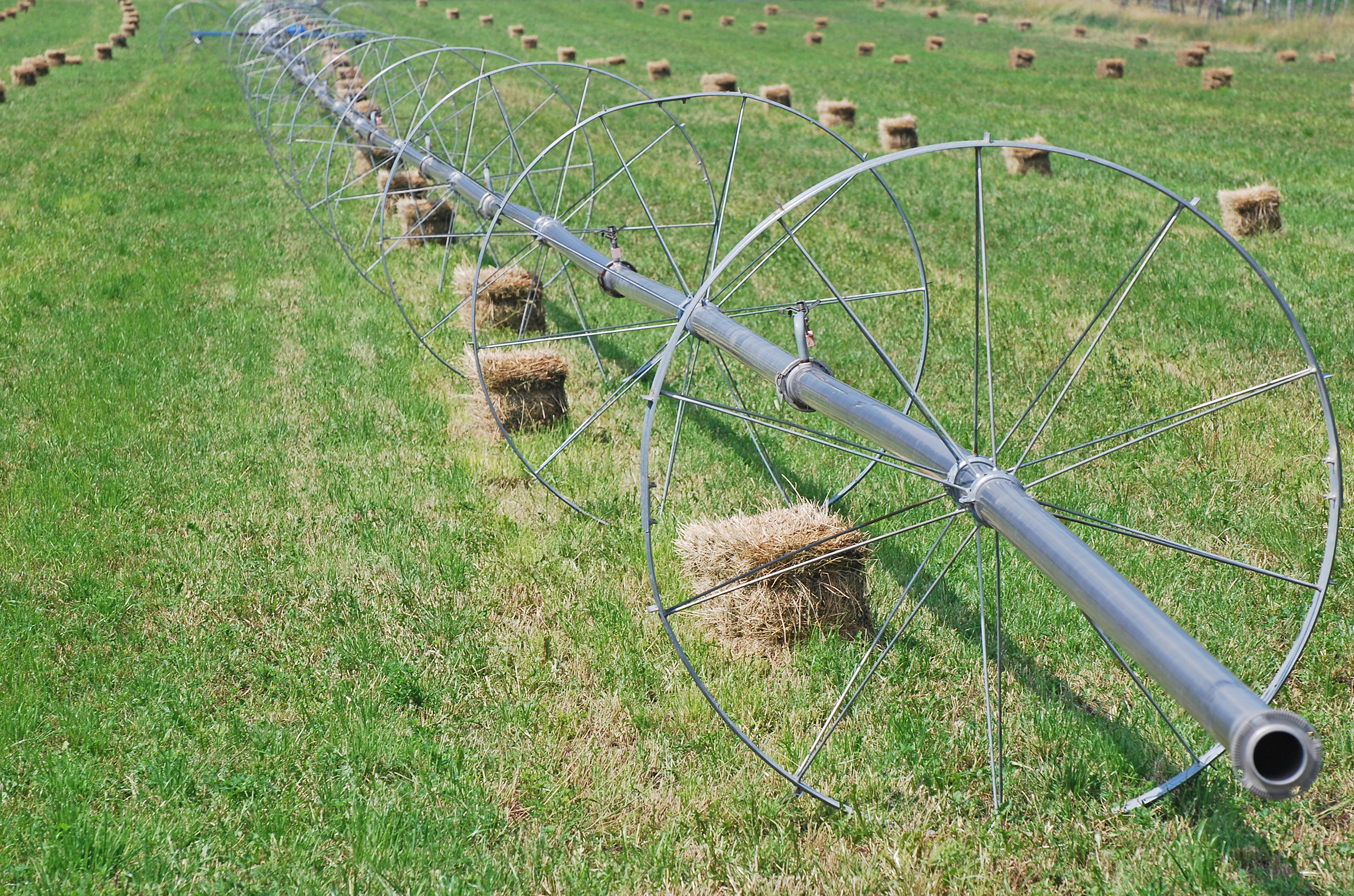 Wheel line in field